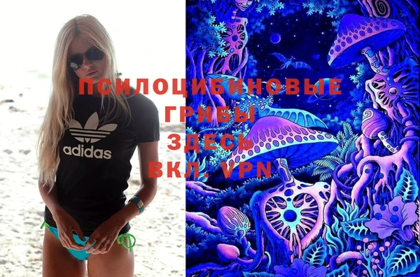 меф VHQ Дмитриев