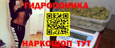 индика Тара