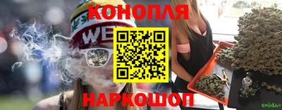 индика Тара