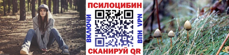 Галлюциногенные грибы Psilocybine cubensis  сколько стоит  Северодвинск 