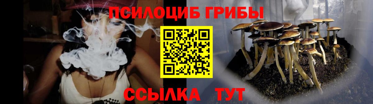 Псилоцибиновые грибы MAGIC MUSHROOMS Северодвинск